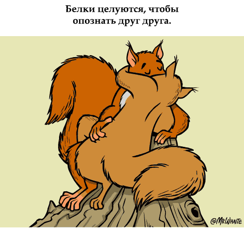 �����