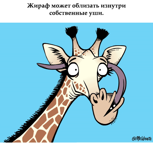�����