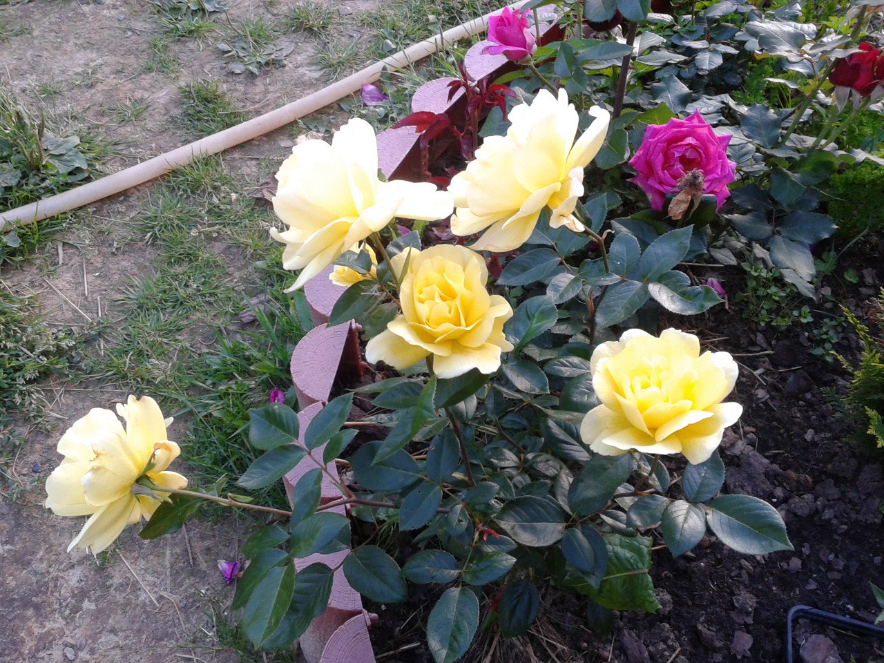 ������. �����-��������� ���� 70 ������