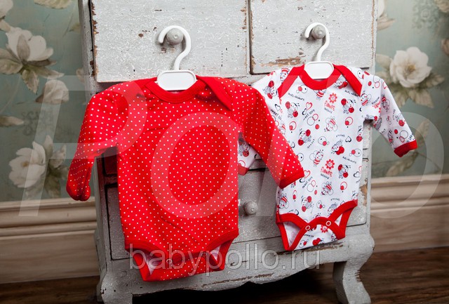 ���� �������.����� ���������� � �������� ������ ��� ������������� �� Pollo.����� ��������� ����� 34