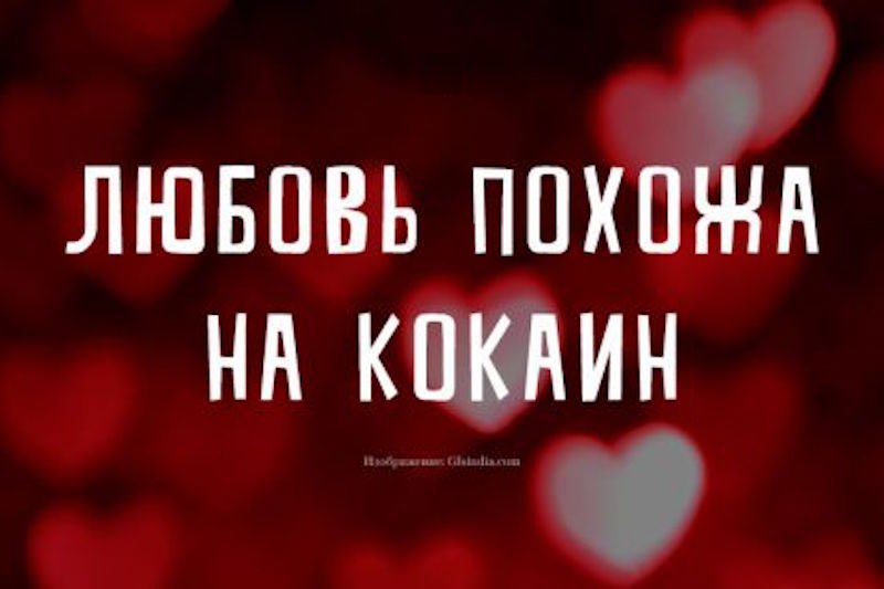 25 �������� �������� ������ � �����