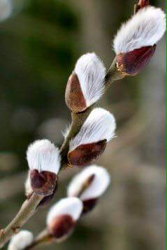 � ����������!!!