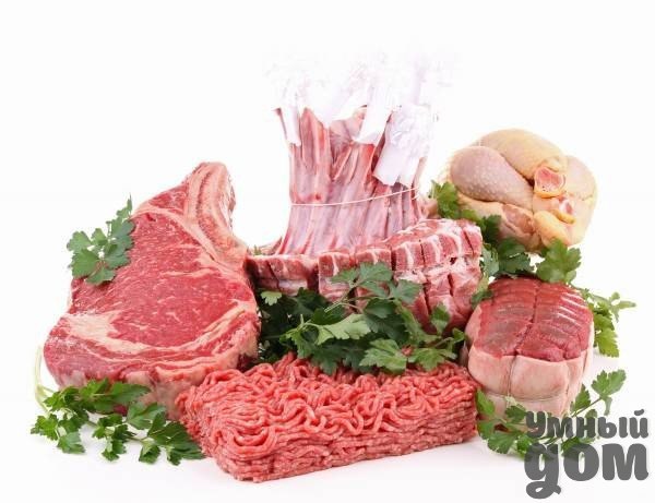 ������ �������