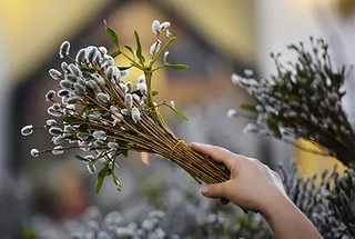 ������� ���������! � ���������� ��� � ����� � ���� ����!