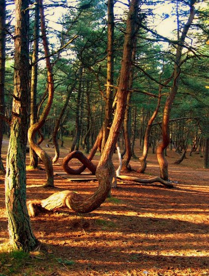 ��������� ���