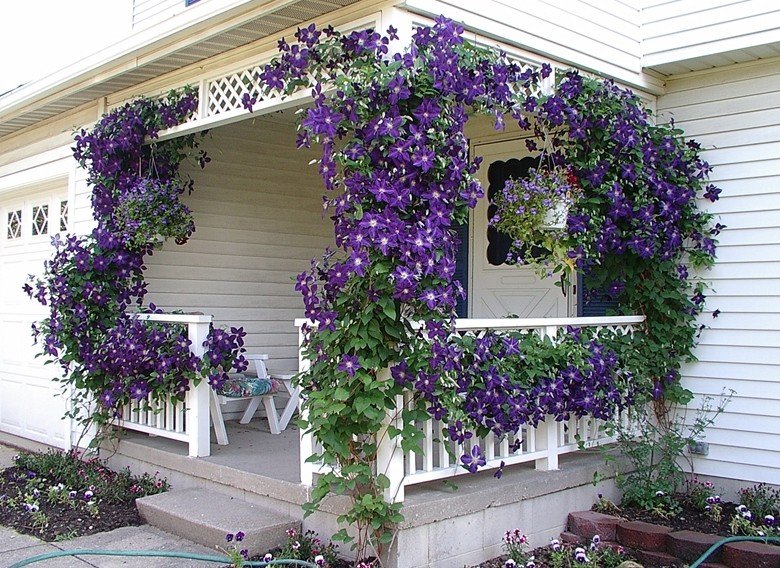 ����������� ����������