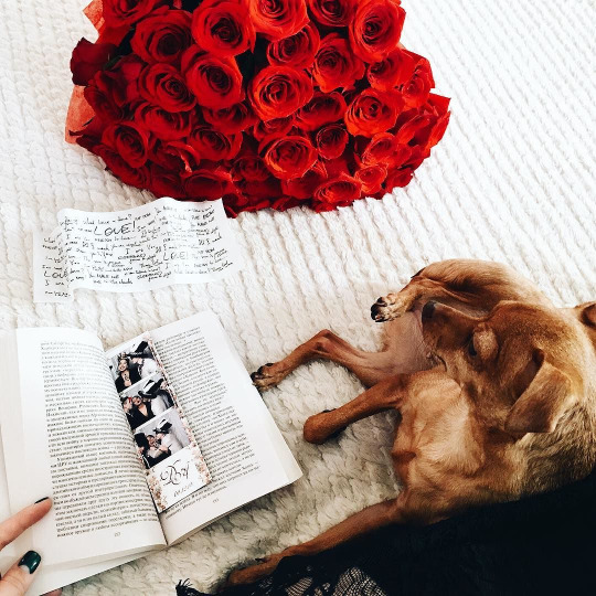 � ��� �������� � ������� ������� � ����� ���������, ��� ����� ������� �� �������� ���������...