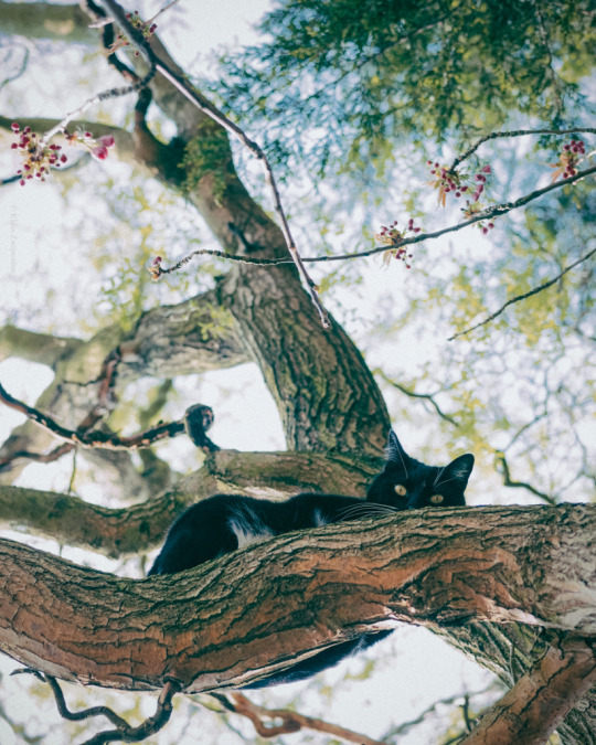 ������ � �����...