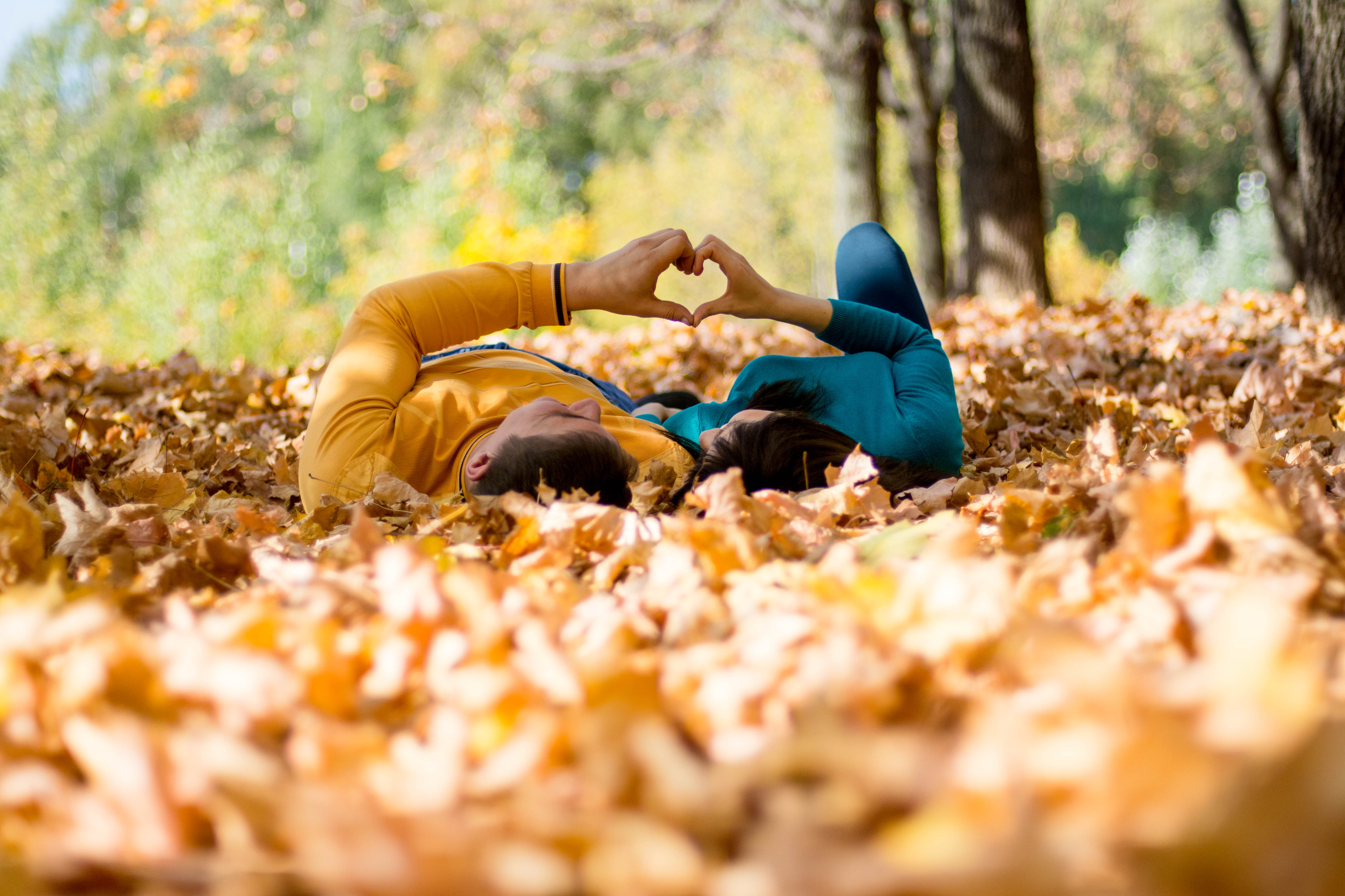 �������� ������.....