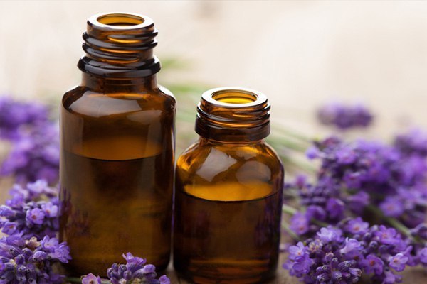 �������� ����� �� ���� ��������