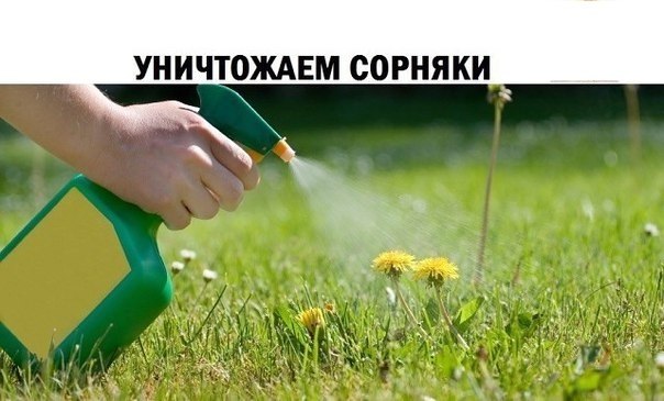 ���������� �������