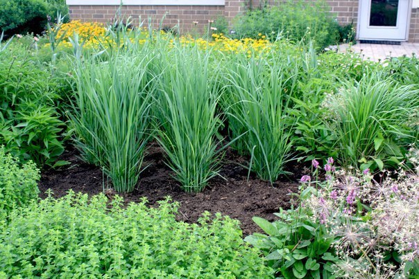 ����� �������� ������� ��� ������� �� ����������