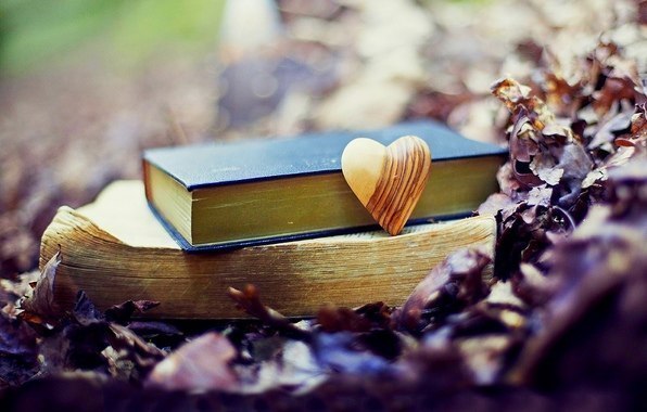 44 ����� ���������� ��������