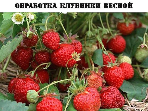 ��������� �������� ������