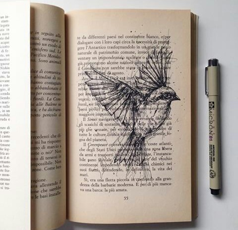 ������� - �������� �����.//