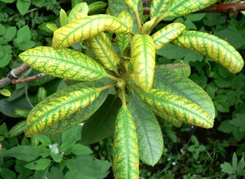 �������� ������ ��������: ��� ������� ������ � ����������� ������