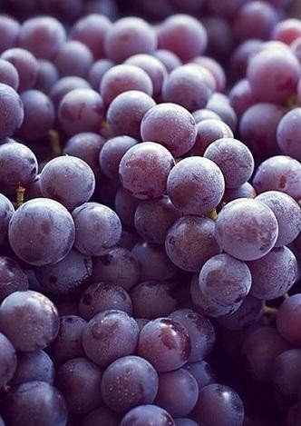 ������ ����������: ����� ������ ������� � ������ - ���� �����.