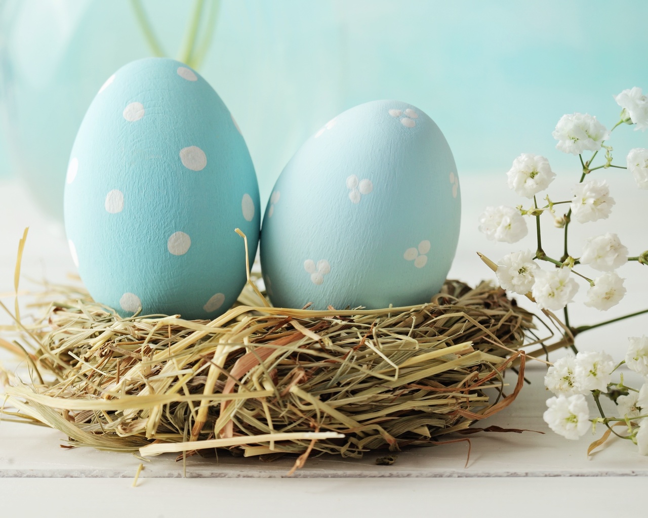 ������� ��� ������! ���������� ���!