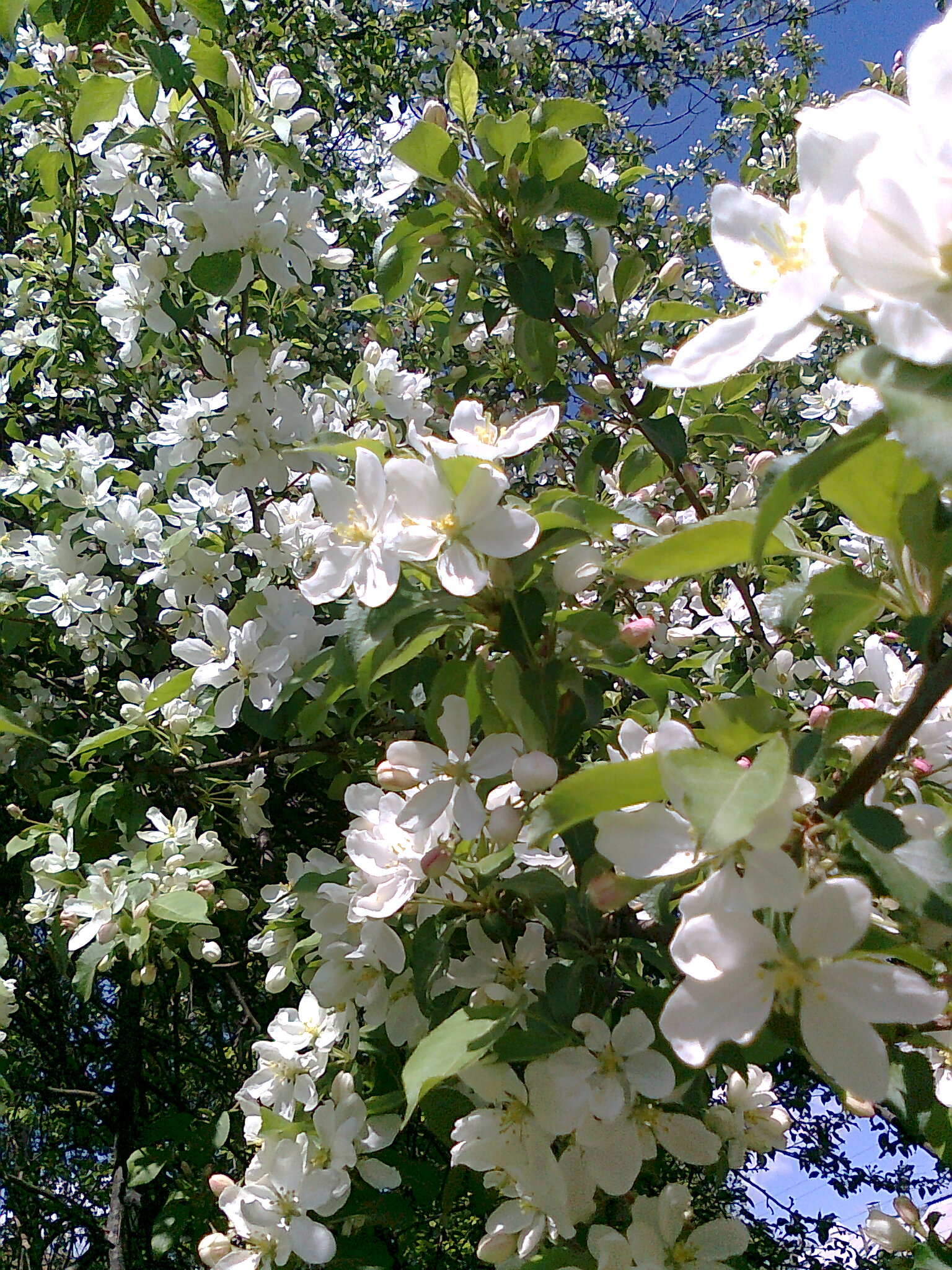 ���������� ���� � ������!!!