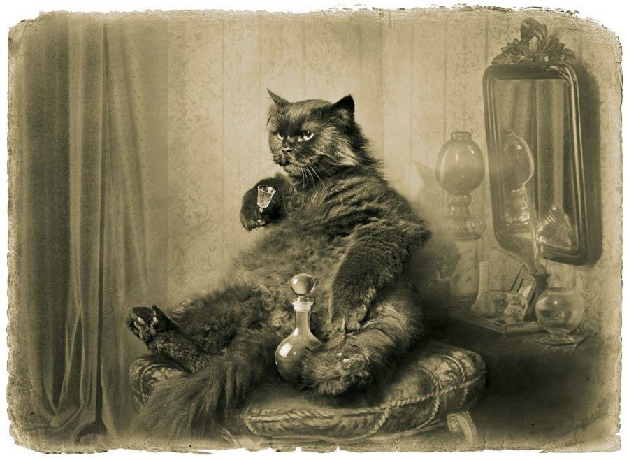 Цитаты из романа Цитаты из романа