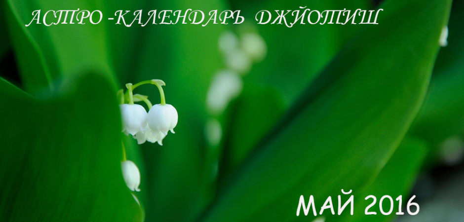 ��������� ��������������� ������� ��� 2016