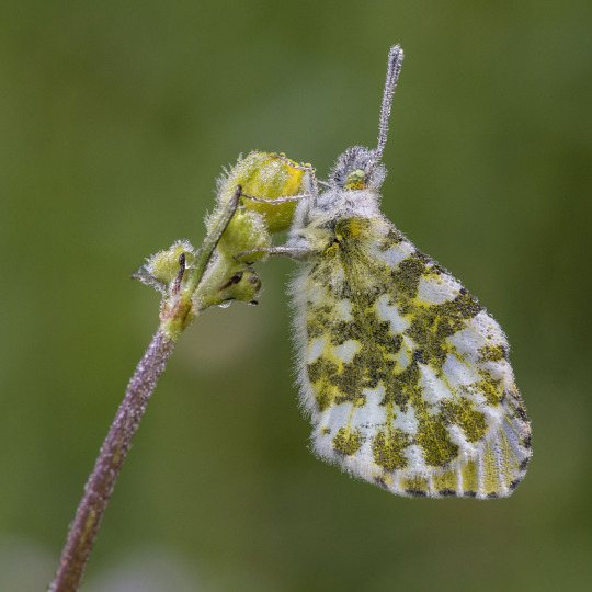 ��, ��� �������� �������� ������ �����, ������� �������� ��������...