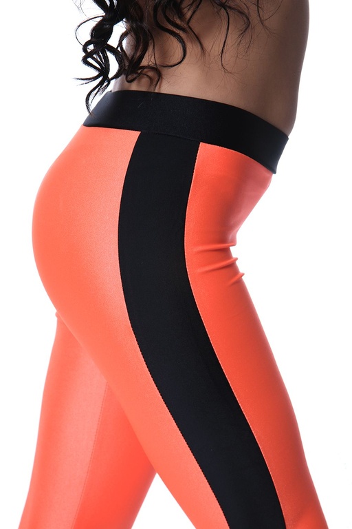 ���� �������. �������� �����,������,��������.��� ����� � ������ ���������.����� 2.