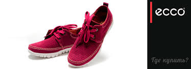 ���� �������. ������������ �����������. ����� E c c 0 � C a m p e r ��������! ���������� ������� ������� ��� ���� �����. ��� �����. ���� 10 ���