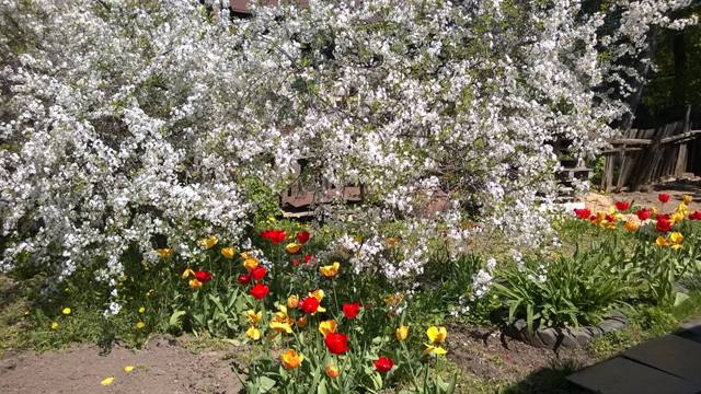 ����� ������-�� ���� �������-��, ����� ������ � �����....