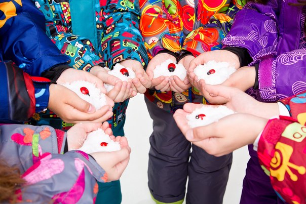 ���������� ������ 10 ����! ������� ������ PicCo ����������� ������, ��������� ����������. ��������� ���� 16-17. -5