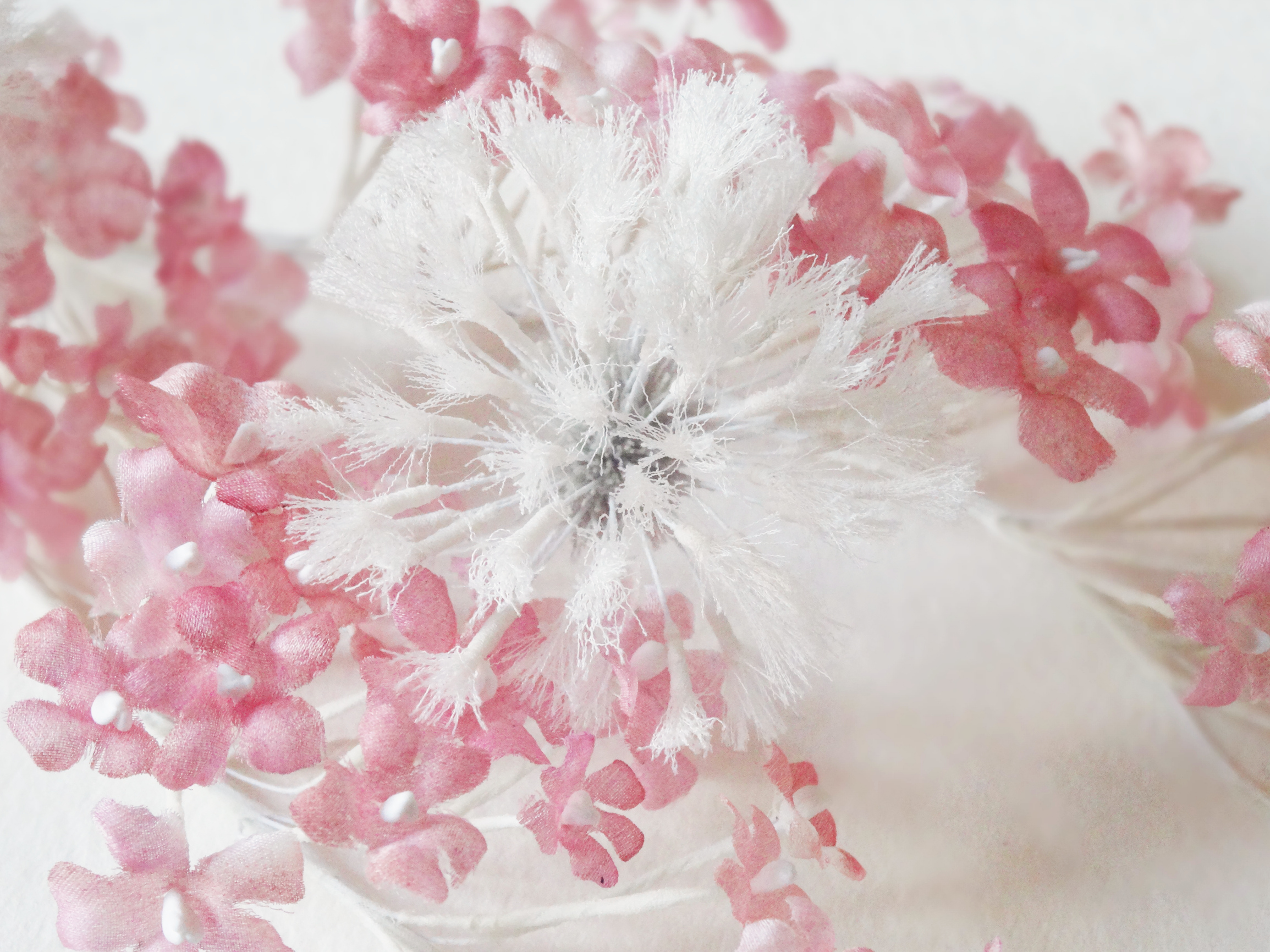 ������ ��������� ��������� �� �����!!! ��� ����������, ������, ��������!!!