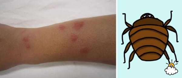 ��������� �� �������� ���� ����� ���������