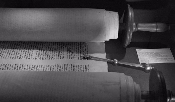 ������������� �����������