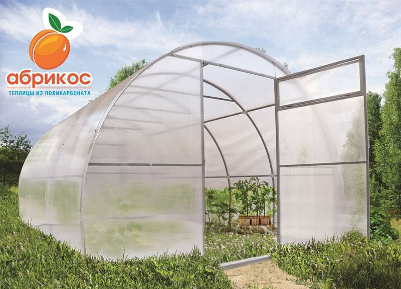 ���� �������.������� ���&����&�, �������,������,���.������������.�������� ( �������� �������� ) , ������ ( ��������������, ������������, ��� ) 44. �������� ���� 5 ����.