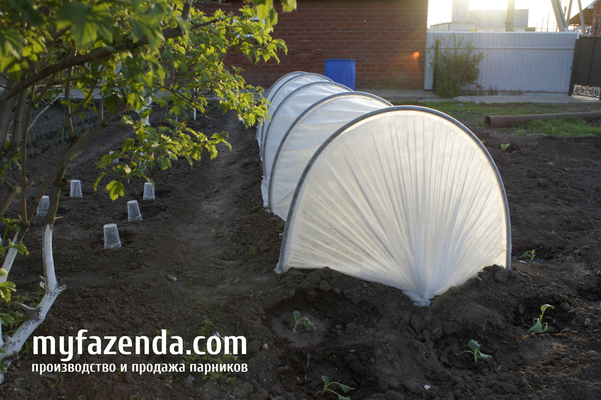 ���� �������. ��� �@����@. ���������� �����. �������. ���� - ������� 5