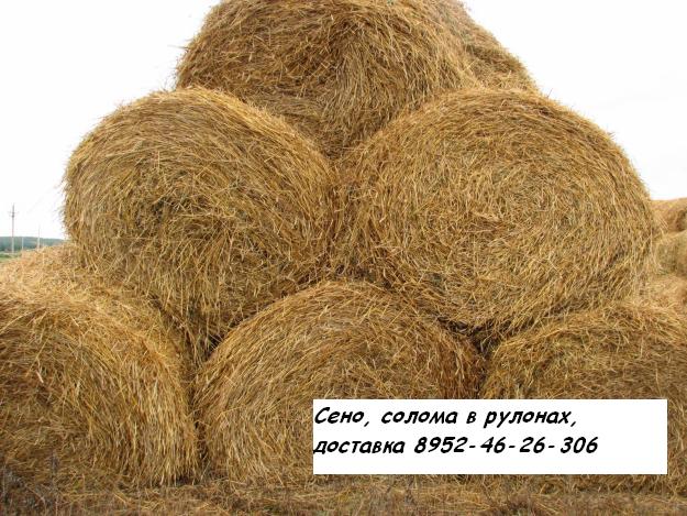 ������� ����, ������ � ������� �� 200 ��