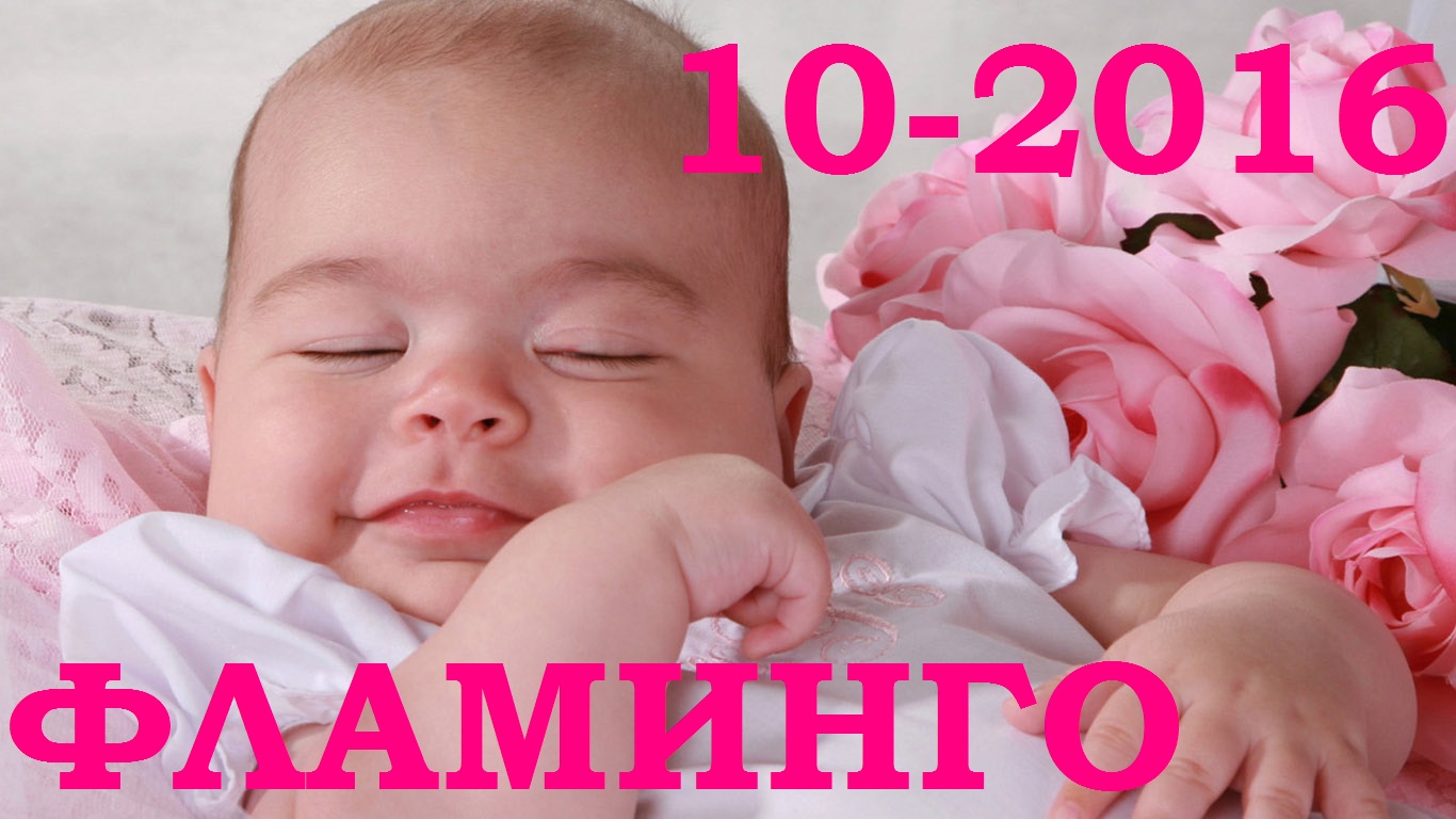���� �������. ������� ������ ��������-10-2016. ����������� ����� ������� ��� �����. ������� ��������, ����������