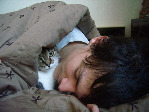 ���� ���� ������� ������ (�������� �����