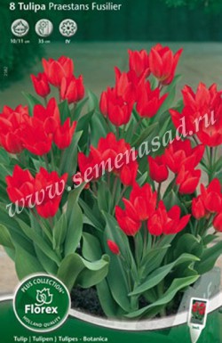 ���� �������.--- ���o��r�� �o�ck ---���������� ����� 2016