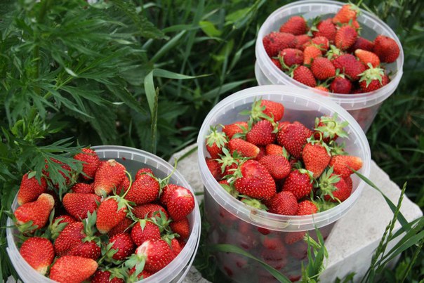 4 ������ ��������� ��� ��������