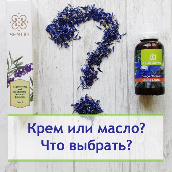 ���� ��� �����? ��� �������?