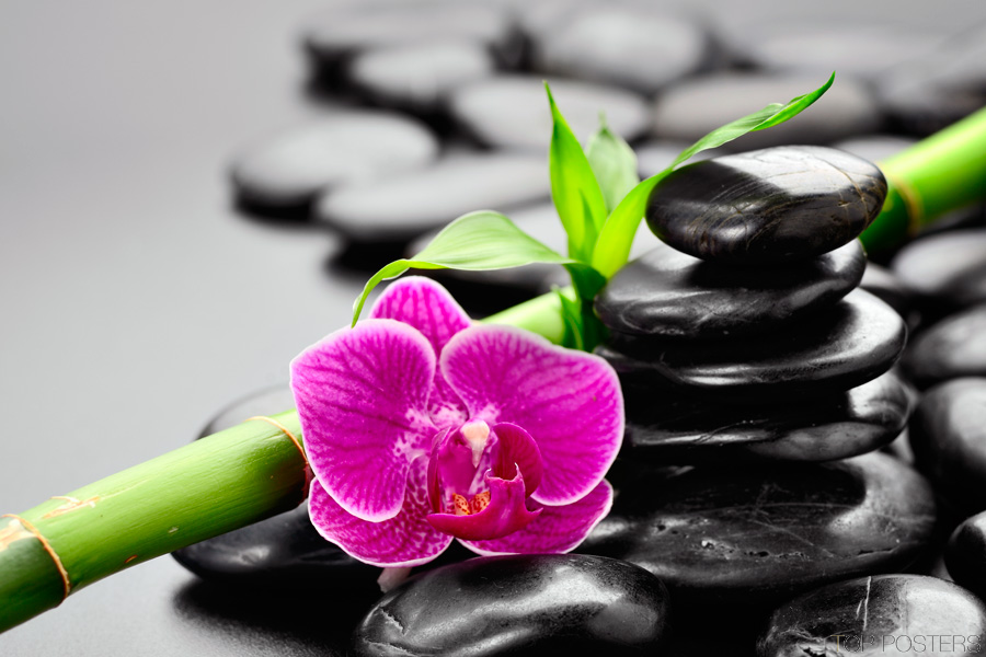 ���� �������.�������� �������,���������,������, ��������� �������, ����, ��������-19