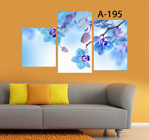 ���� �������.����� ���������! ��������� ������� �� 800���, ���� �� 200���, �����, ������� ���������. �ӣ �������!!