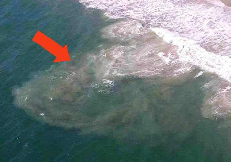 ��� ���� �����