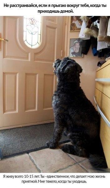 ������ ������ ����