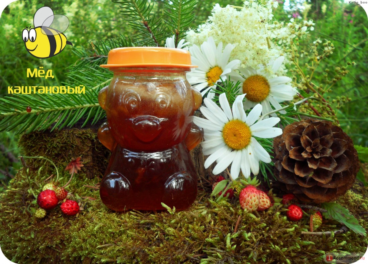 ��������� ����� ��� 15 ������