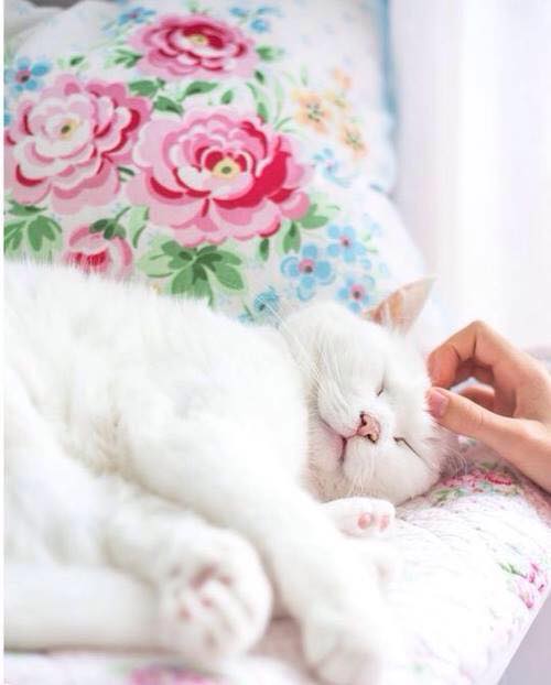 ���������, ��� ��� �� ����... ����� � �� ����� ������...