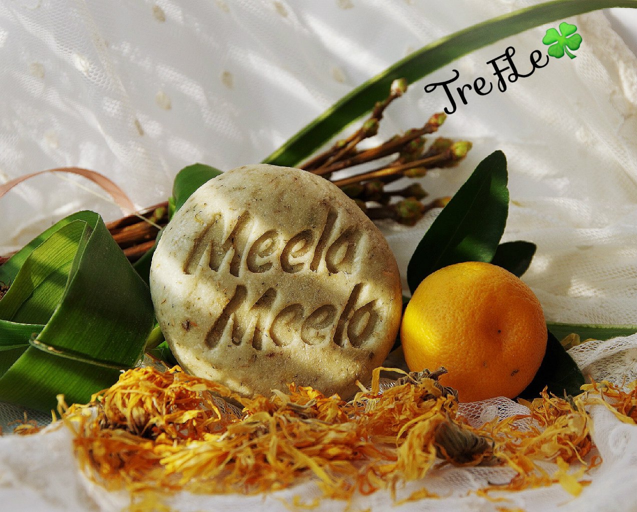 ���� �������. ������������ ��������� ������ ������