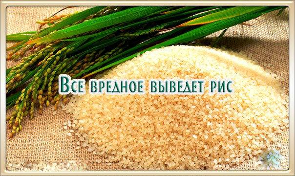 �������� ��������� �����