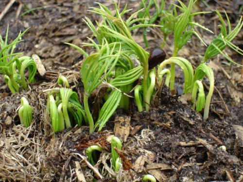 ������� � ����������� �����